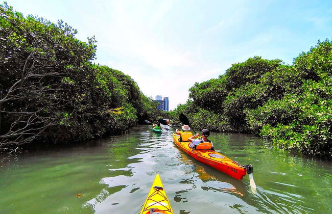 Tour di Cartagena in kayak - Foto 10