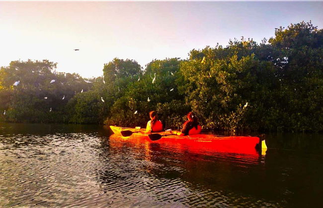 Kayak Tour of Cartagena - Foto 7