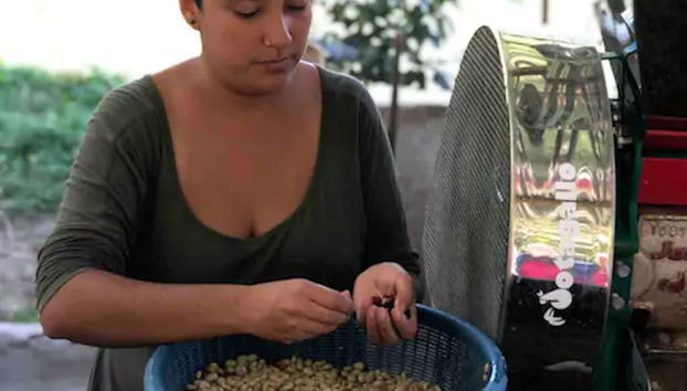 Bogotá Coffee Farm Trip - Foto 2