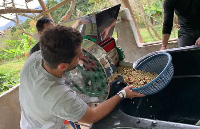 Escursione alle piantagioni di caffè colombiano - Foto 5