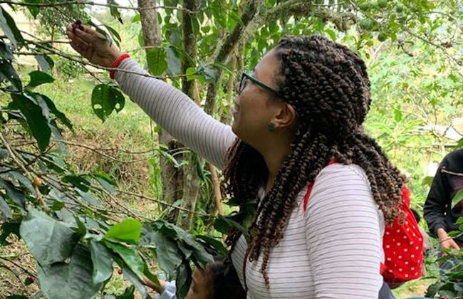 Escursione alle piantagioni di caffè colombiano - Foto 2