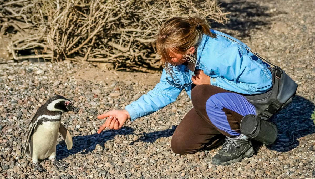 Excursion à Punta Tombo pour les croisiéristes - Photo 1