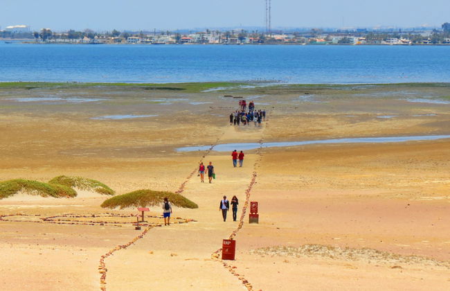 Excursion à la Réserve Nationale de Paracas - Photo 2