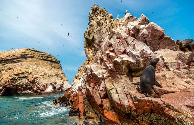 Escursione alla Riserva Nazionale di Paracas - Foto 3