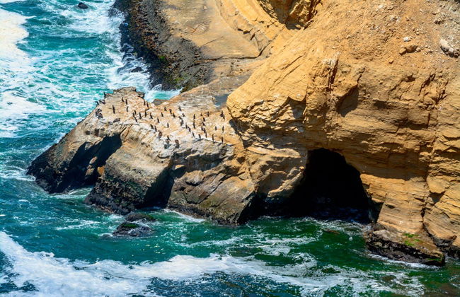 Escursione alla Riserva Nazionale di Paracas - Foto 2