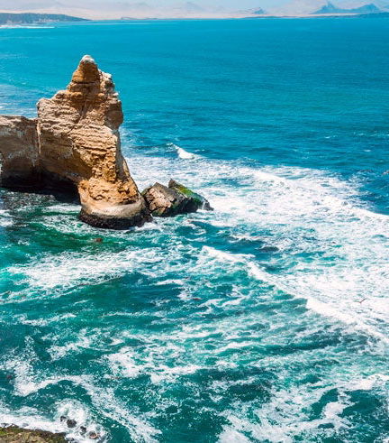 Foto de Tour por la Reserva Nacional de Paracas