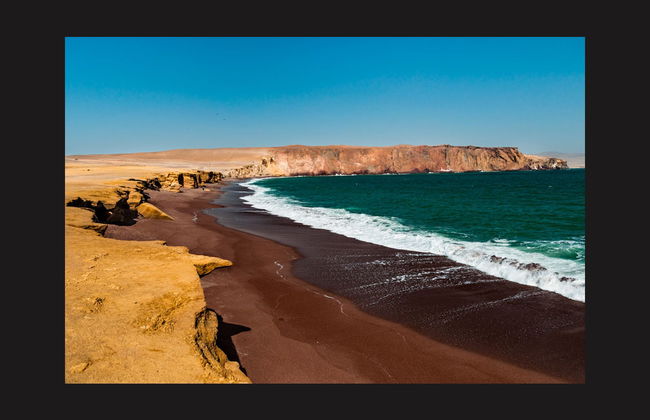 Paracas National Reserve Tour - Foto 1