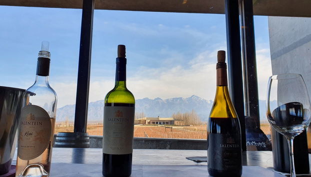 North Uco Valley Wine Region Tour - Photo 5