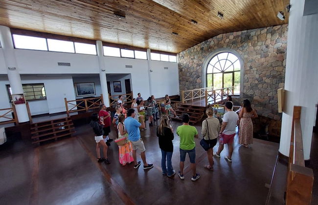 North Uco Valley Wine Region Tour - Photo 10