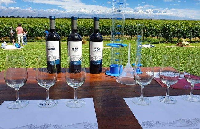 North Uco Valley Wine Region Tour - Photo 8