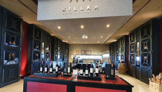 North Uco Valley Wine Region Tour - Photo 2