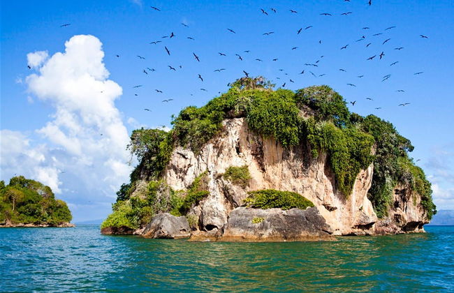 Los Haitises National Park Day Trip - Foto 1