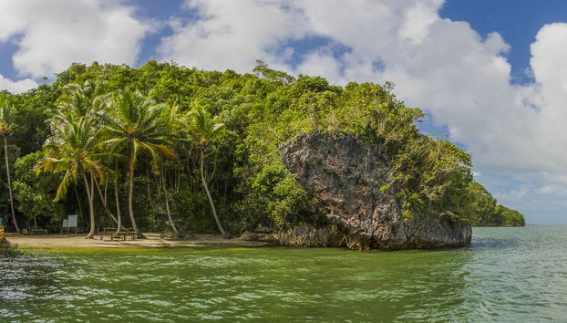 Excursion au Parc National Los Haitises - Photo 3