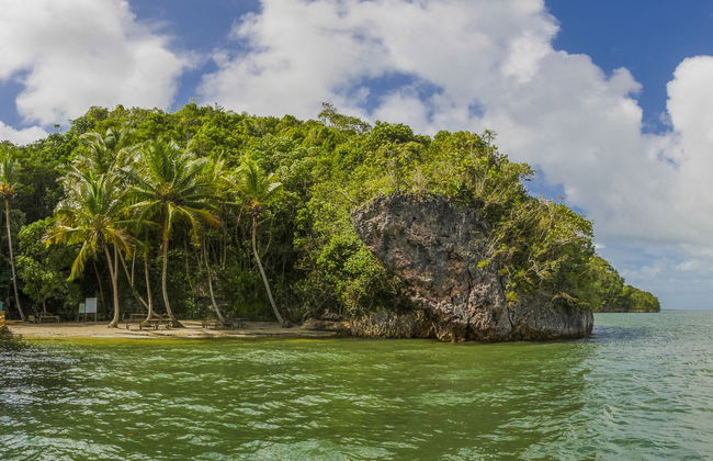 Los Haitises National Park Day Trip - Foto 3