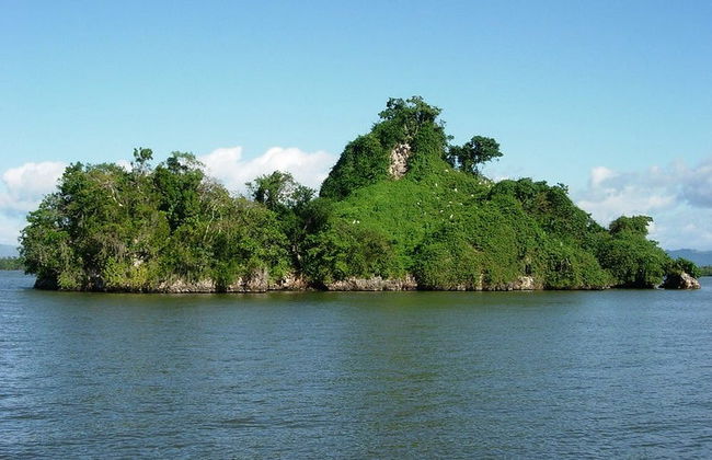 Los Haitises National Park Day Trip - Foto 2