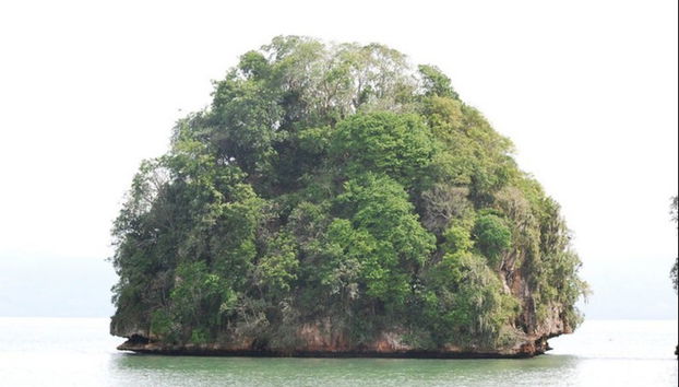 Excursion au Parc National Los Haitises - Photo 4