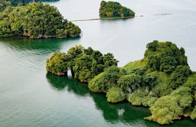 Los Haitises National Park Day Trip - Foto 4