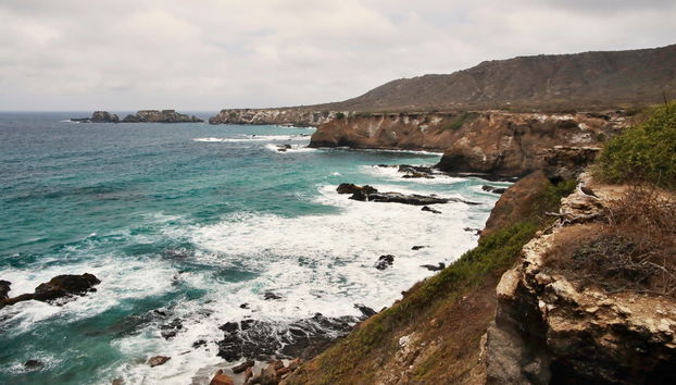 Isla de la Plata Excursion - Foto 5