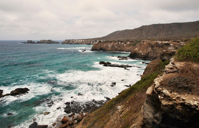 Isla de la Plata Excursion - Foto 5