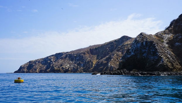 Isla de la Plata Excursion - Foto 4