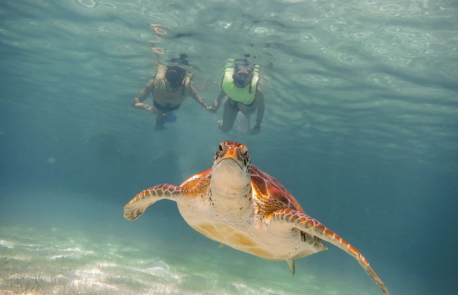 Excursión a la bahía de Akumal + Reserva Balam - Foto 2