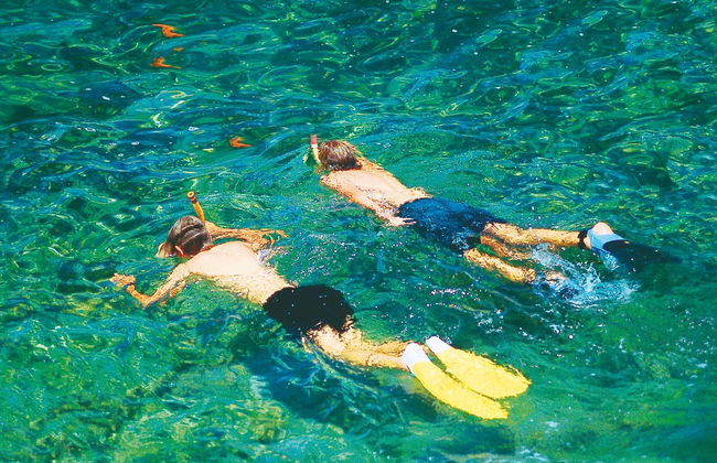 Avistamiento de delfines en el sur de Mallorca - Foto 3