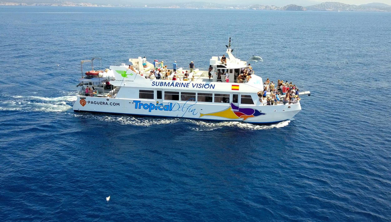 Dolphin Watching in South Mallorca - Photo 1