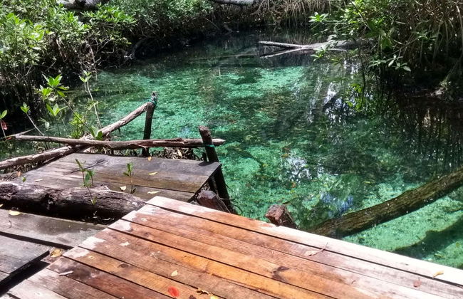 Excursión a Los Petenes en lancha rápida - Foto 4