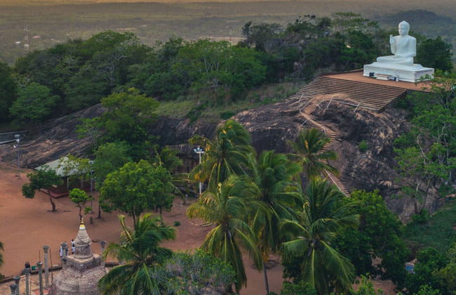 Excursión privada a Anuradhapura - Foto 2