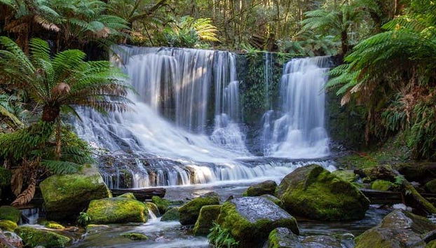 Mount Field National Park Day Trip - Foto 5
