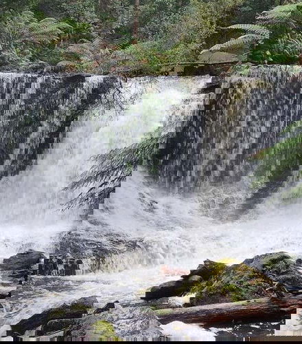 Foto de Excursión al Parque Nacional del Monte Field