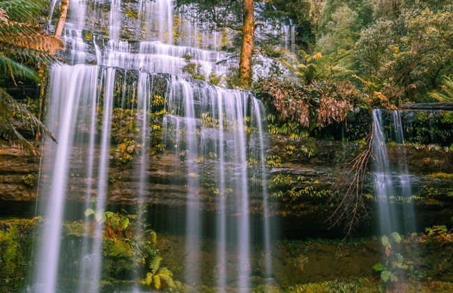 Excursión al Parque Nacional del Monte Field - Foto 4
