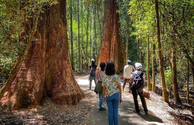 Mount Field National Park Day Trip - Photo 4