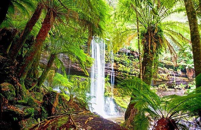 Mount Field National Park Day Trip - Photo 6