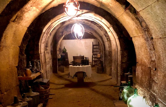Tour por Laguardia + Visita a una bodega con cata - Foto 2