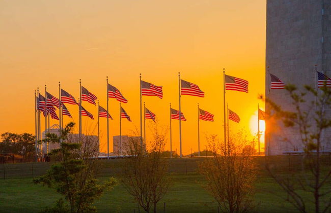 Washington DC Night Bus Tour - Photo 7