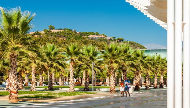 Tour privado por Málaga ¡Tú eliges - Foto 4