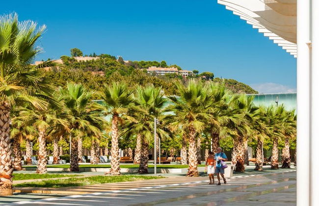 Tour privado por Málaga ¡Tú eliges - Foto 4