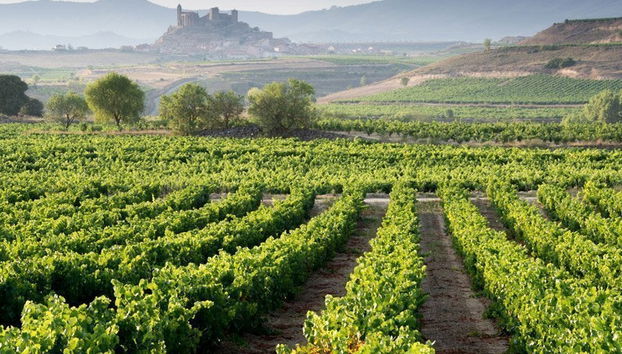 Vitoria-Gasteiz & Rioja Alavesa Day Trip - Photo 2