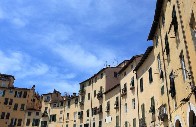 Escursione a Lucca e Pisa - Foto 3