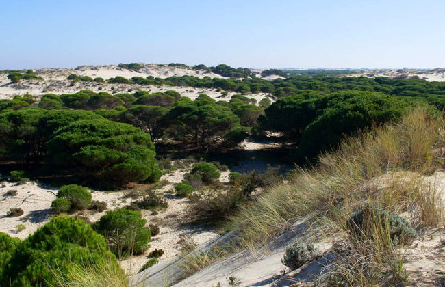 Doñana Day Trip - Photo 6