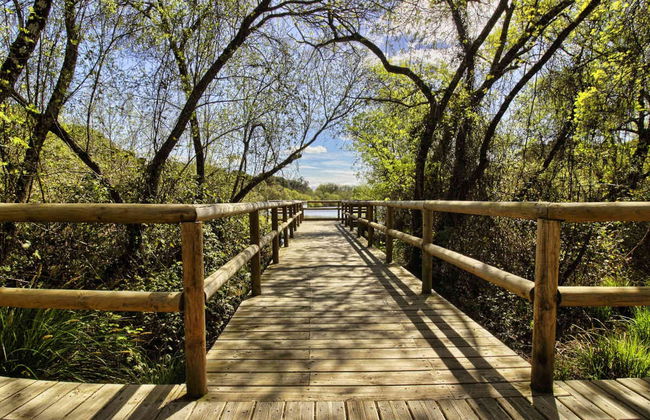 Doñana Day Trip - Photo 3