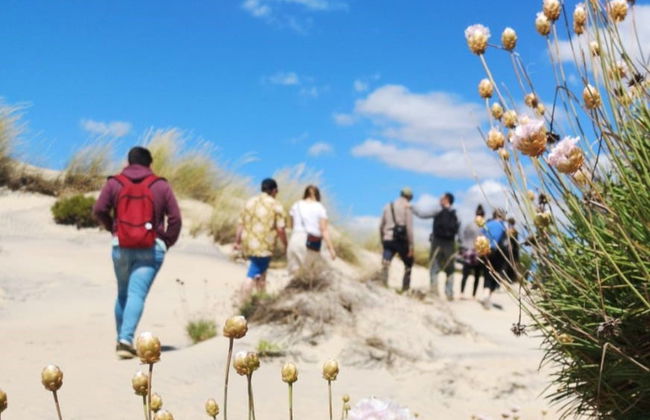 Excursion à Doñana - Photo 8