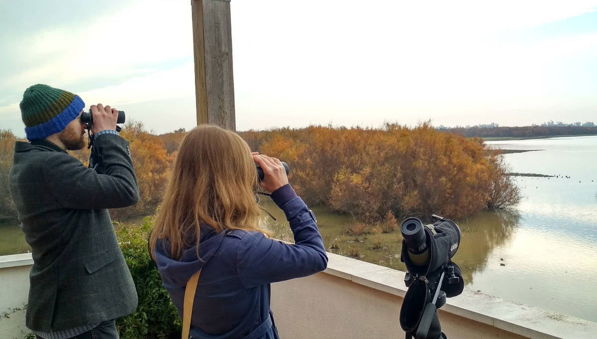 Excursión a Doñana - Foto 1