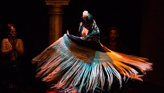 Spectacle au Musée de Danse Flamenco - Photo 2