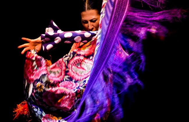 Spectacle au Musée de Danse Flamenco - Photo 1