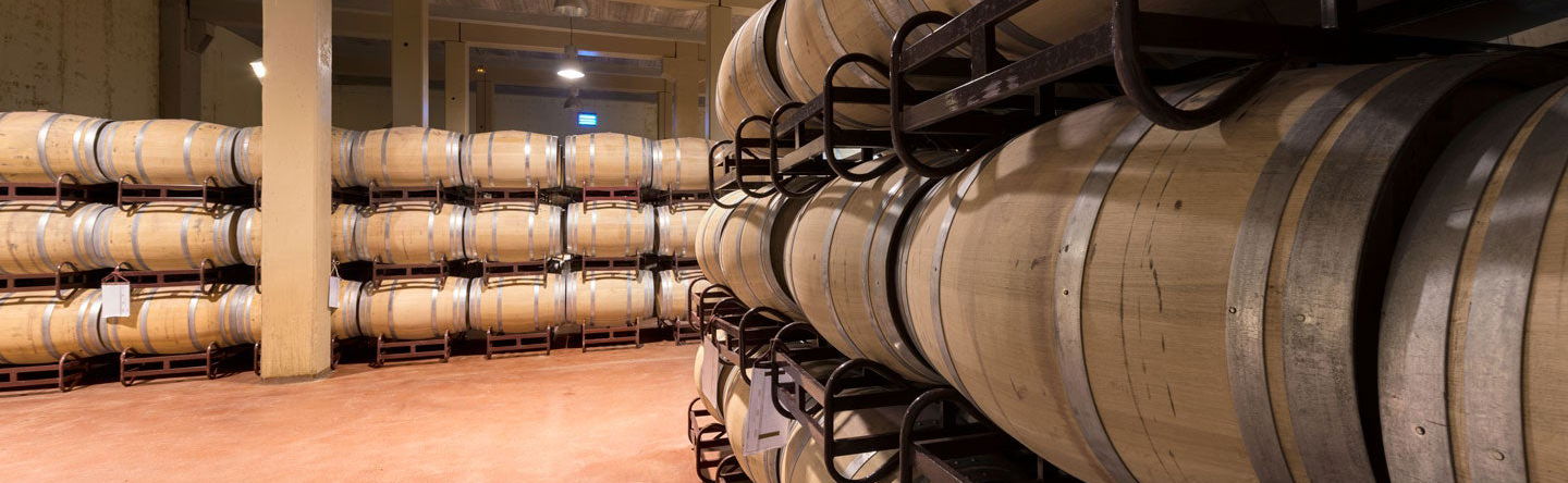 Tour de viñedos y bodegas por La Mancha - Foto 1