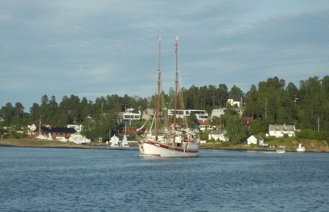 Fjord Sightseeing Cruise - Foto 1