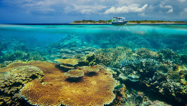 Transfer de barco a Nusa Lembongan e às Ilhas Gili - Foto 3