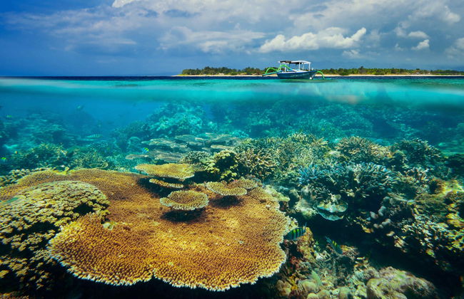 Transfert en bateau à Nusa Lembongan et aux îles Gili - Photo 3